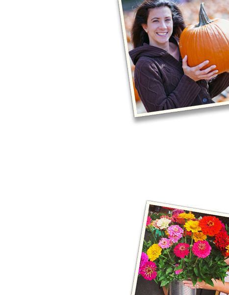 Pick Your Own Strawberries and Flowers at Paulus Farm Market