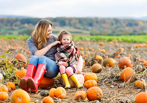Pick your own pumpkins at Paulus Farm Market in Mechanicsburg, PA